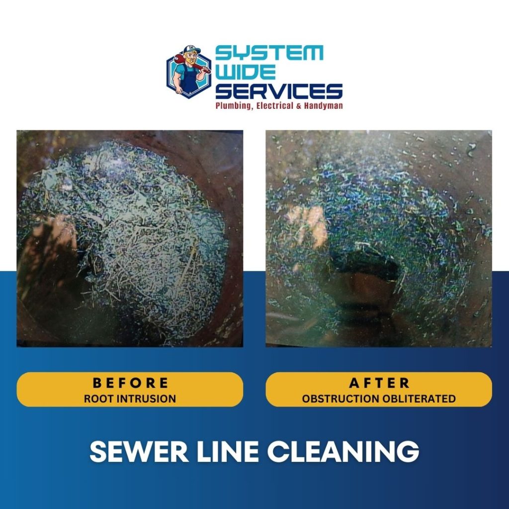 Sewer line cleaning before and after images showing root intrusion and obstruction obliterated, featuring System Wide Services branding.